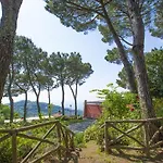 Amore Rentals - Villa Daniela